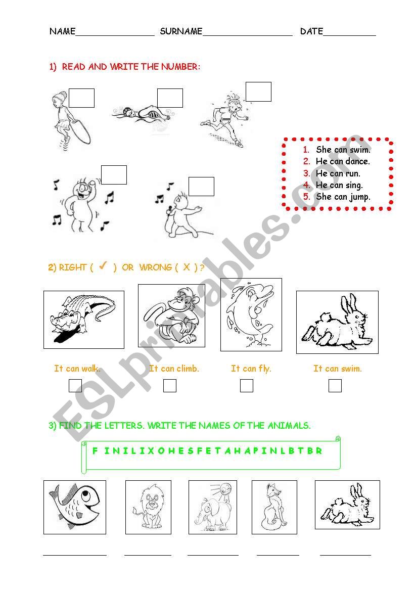 revision_animals_body_actions worksheet