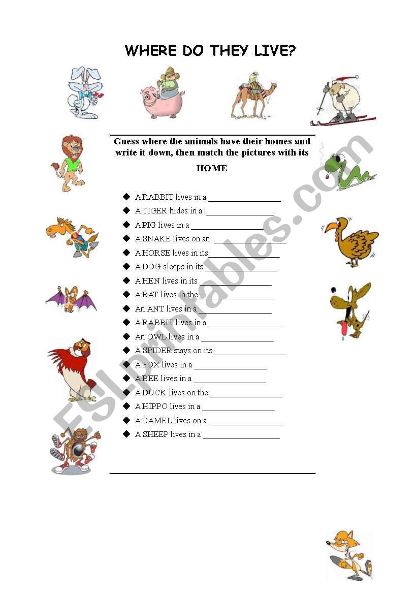 animals homes worksheet