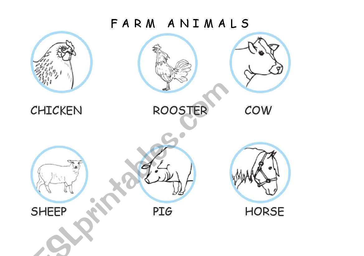 farm animals worksheet