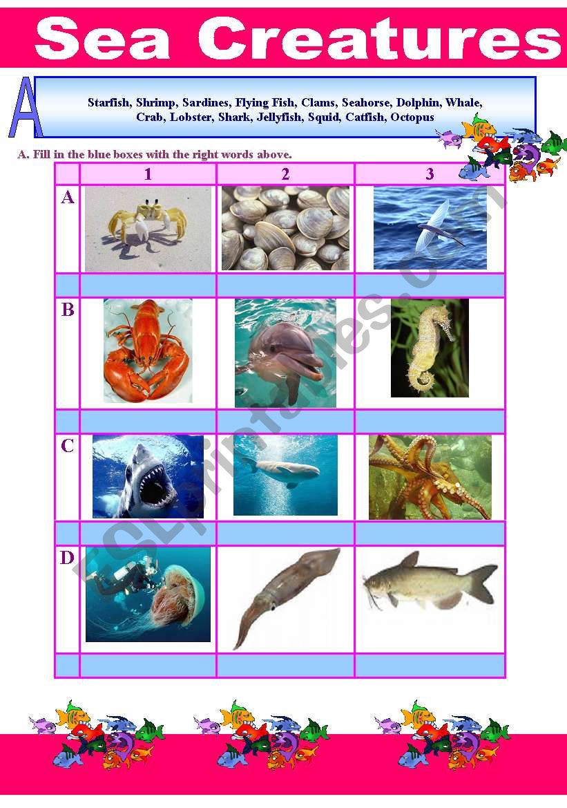 Sea Creatures worksheet