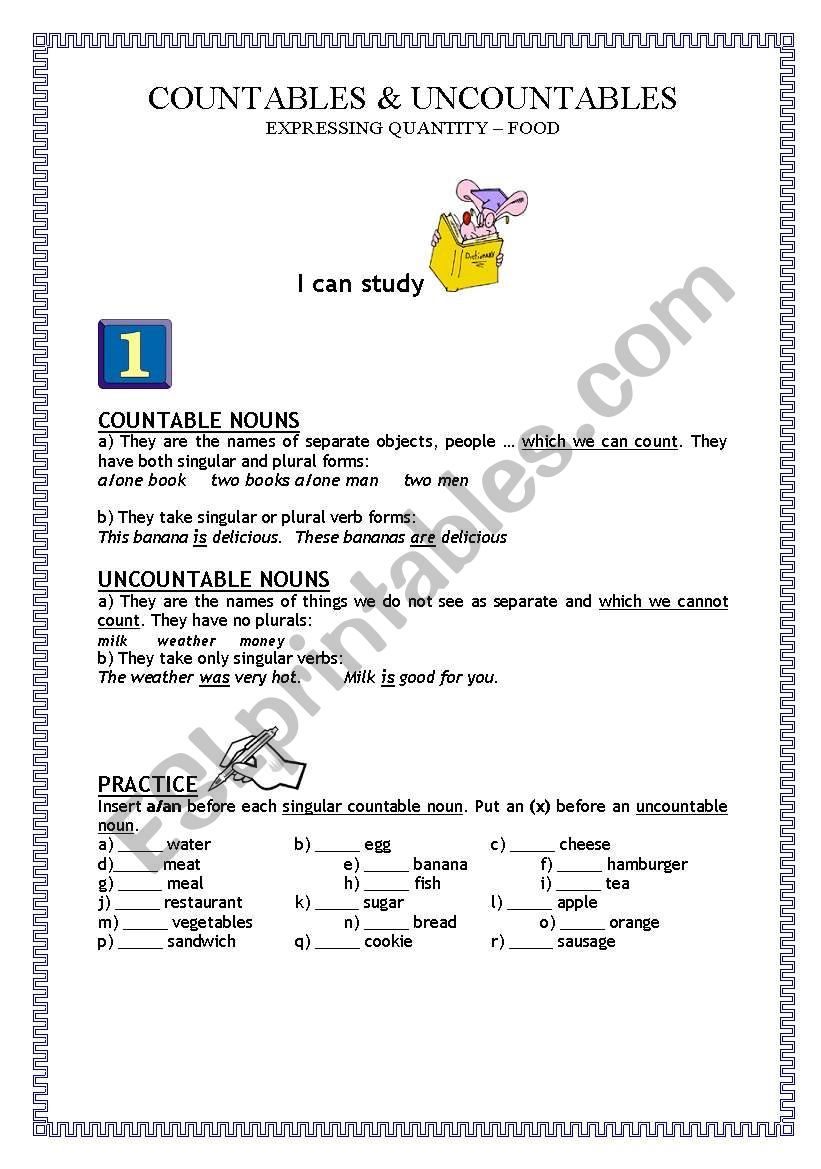 COUNTABLE & UNCOUNTABLE NOUNS - expressing quantity (food)