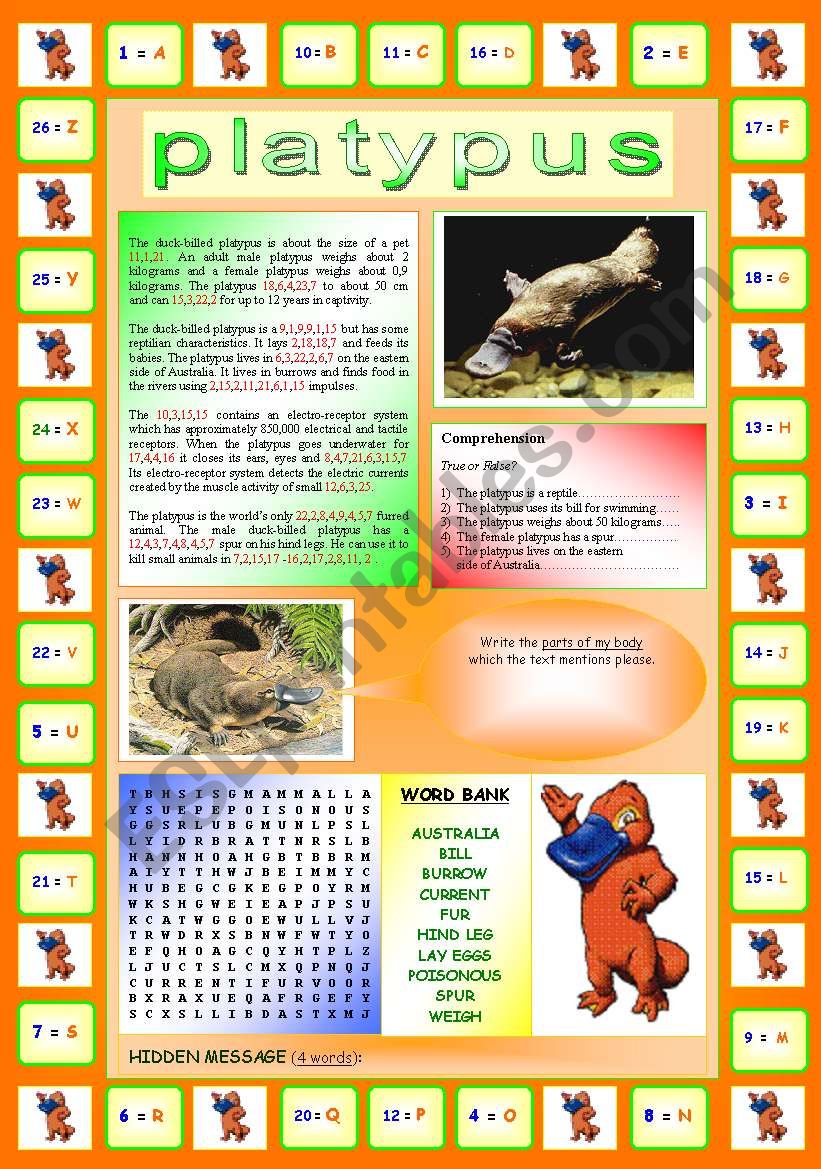 The Platypus (Multi-task worksheet): Encrypted reading + Comprehension exercise + Vocabulary exercise + Wordsearch (including a hidden message!)