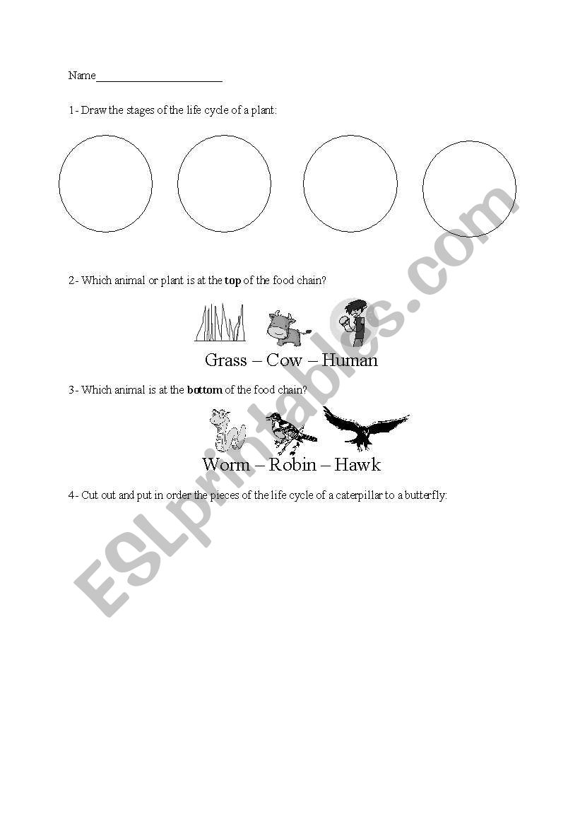 Life Cycles and Food Chain Unit Test