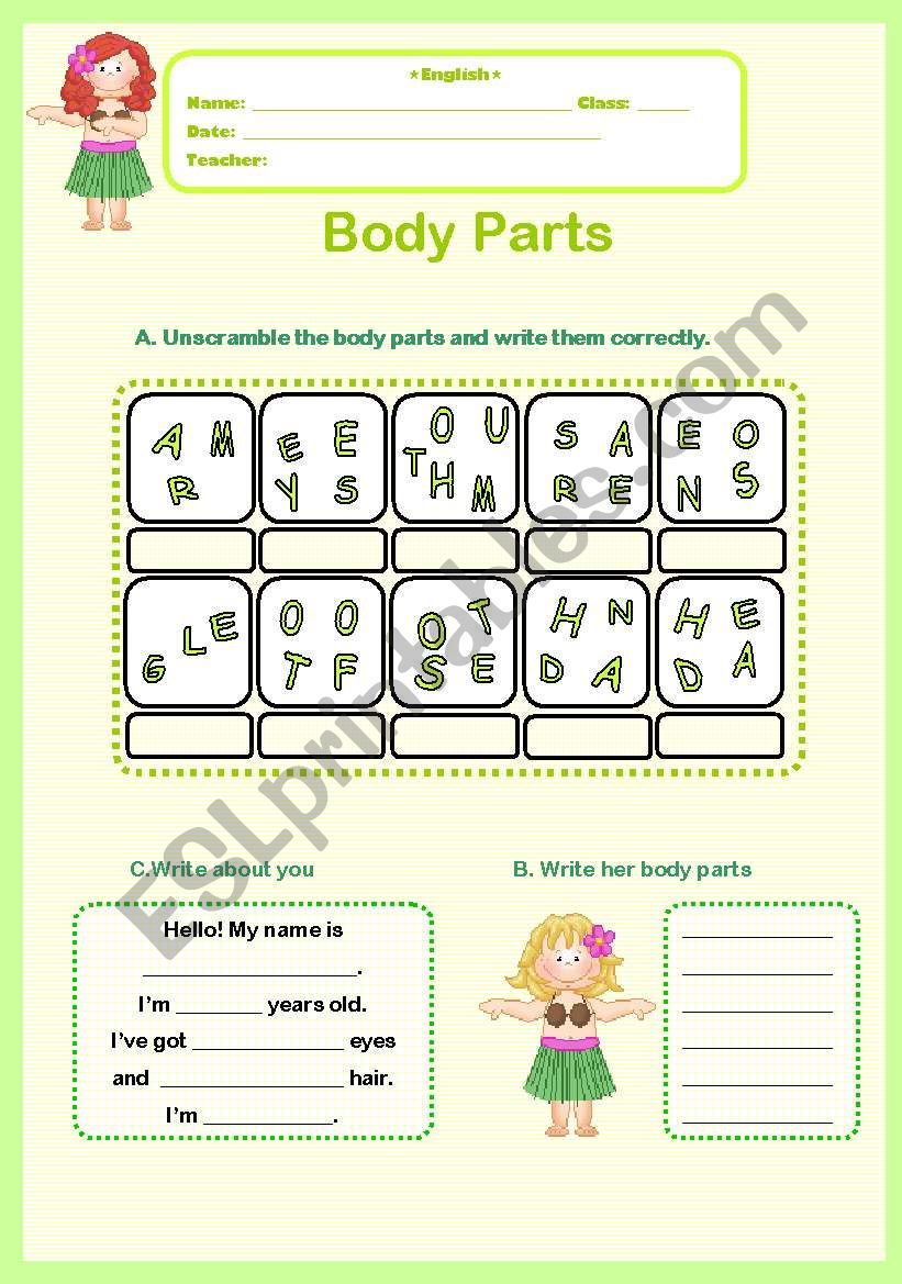 Body Parts worksheet