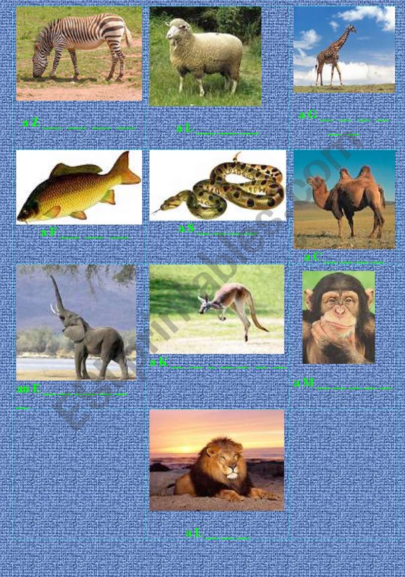 Animals worksheet