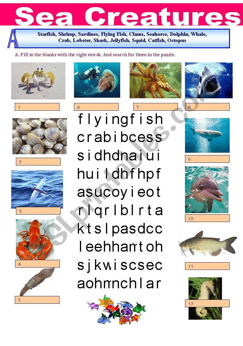 Sea Creatures Wordsearch worksheet