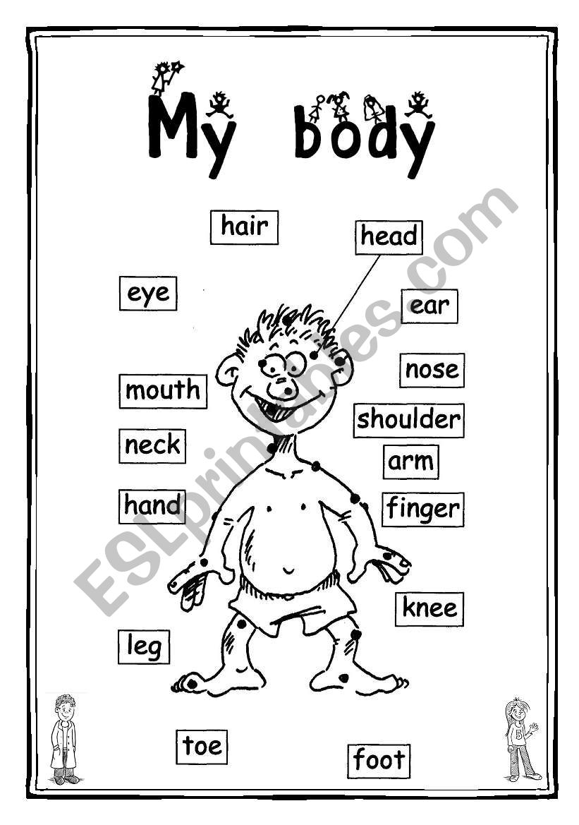 My body 2 worksheet