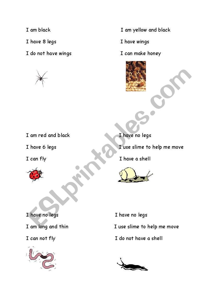 minibeasts cards worksheet