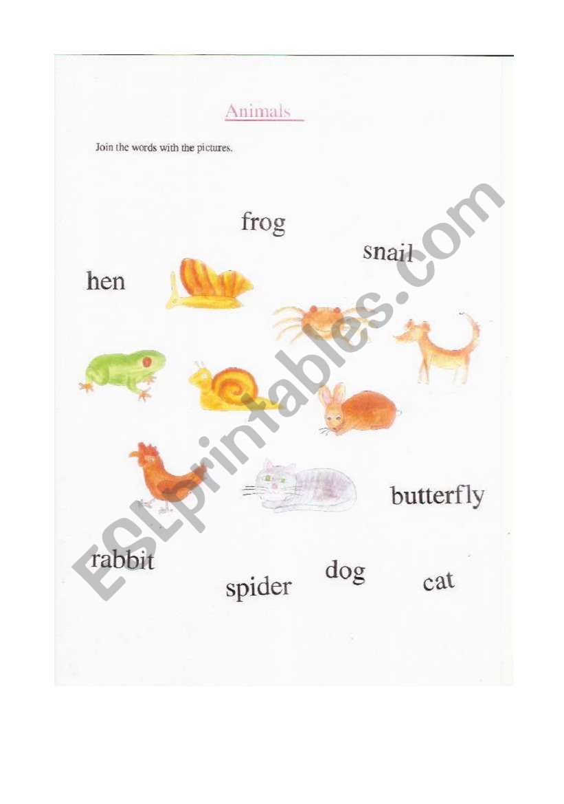 ANIMALS worksheet