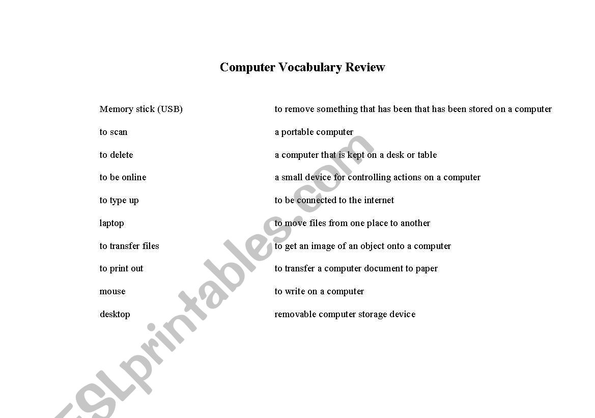 Computer Vocab Match Up worksheet