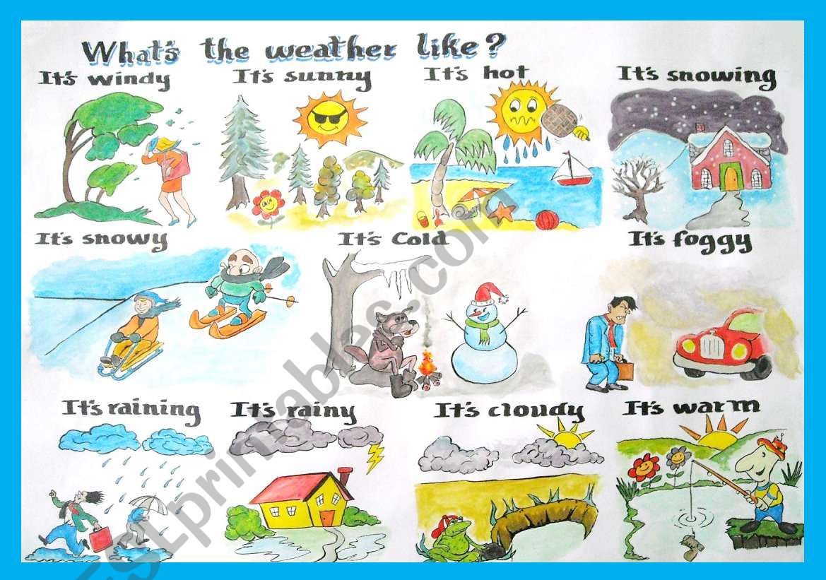 Weather worksheet