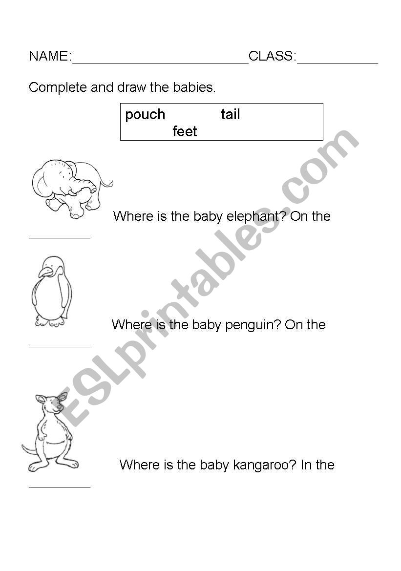 Where do animals carry their babies?