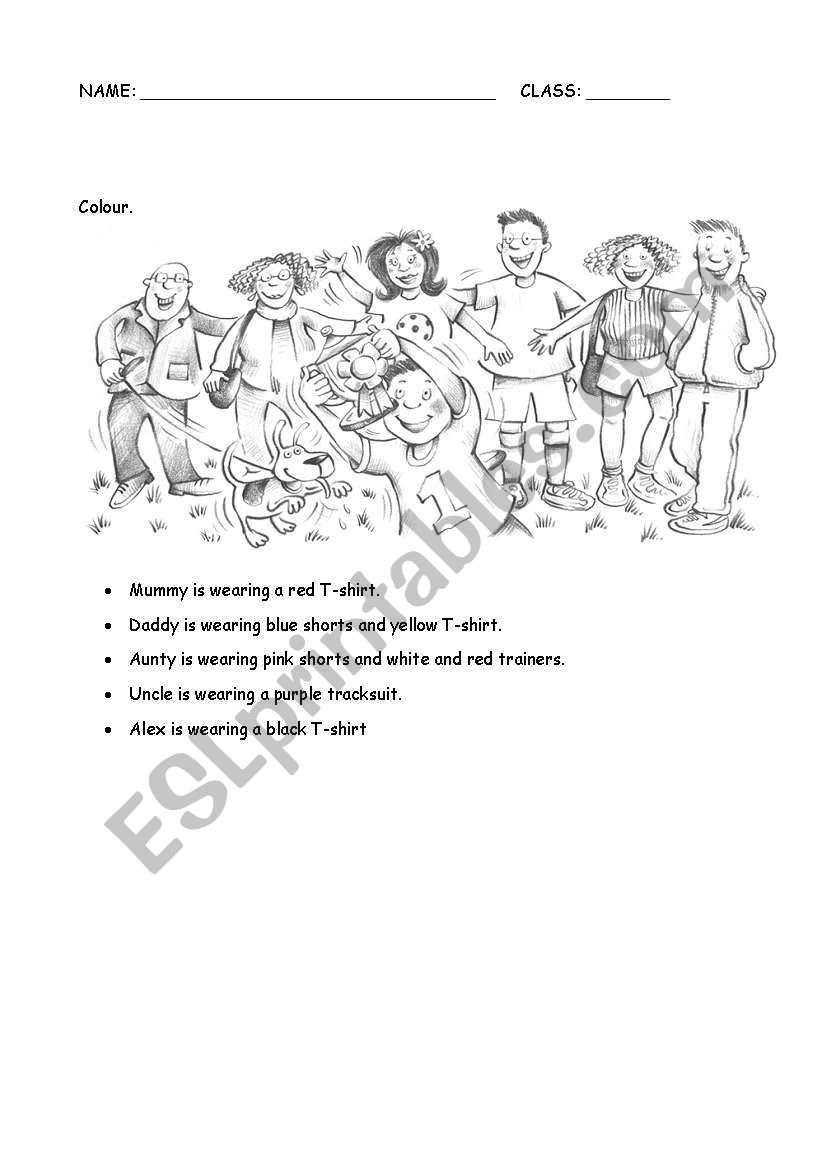 Colours, clothes and family worksheet