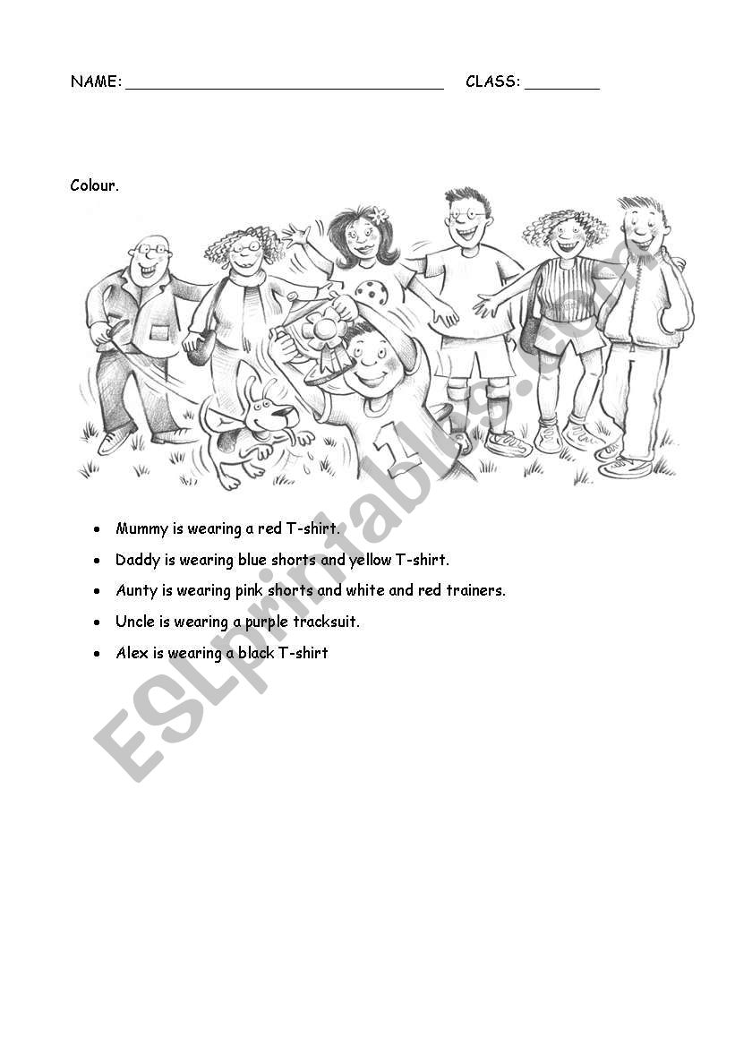 Colours, clothes and family worksheet