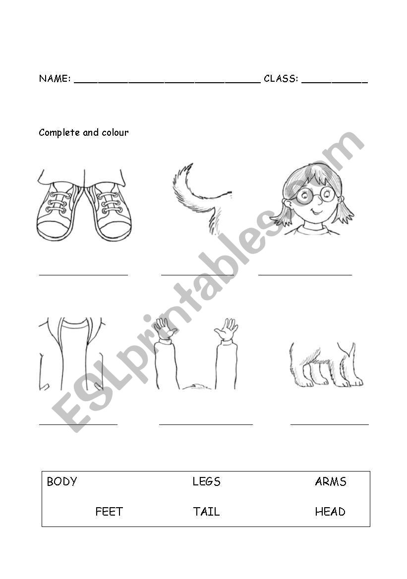 Parts of the body worksheet