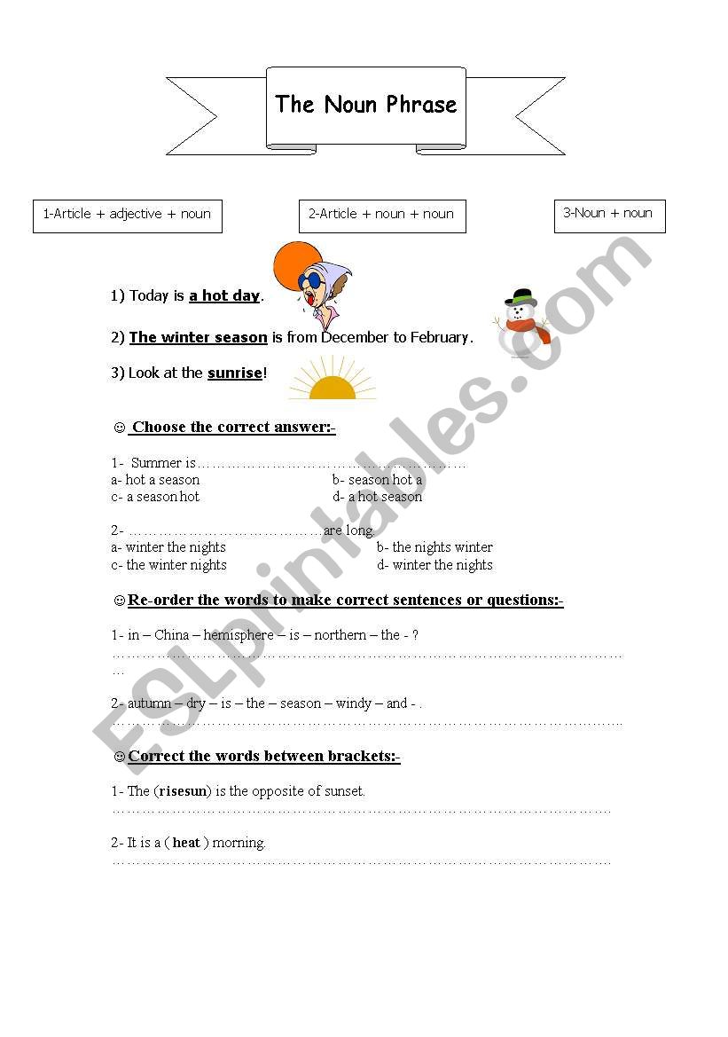 Grammar / The Noun Phrase worksheet