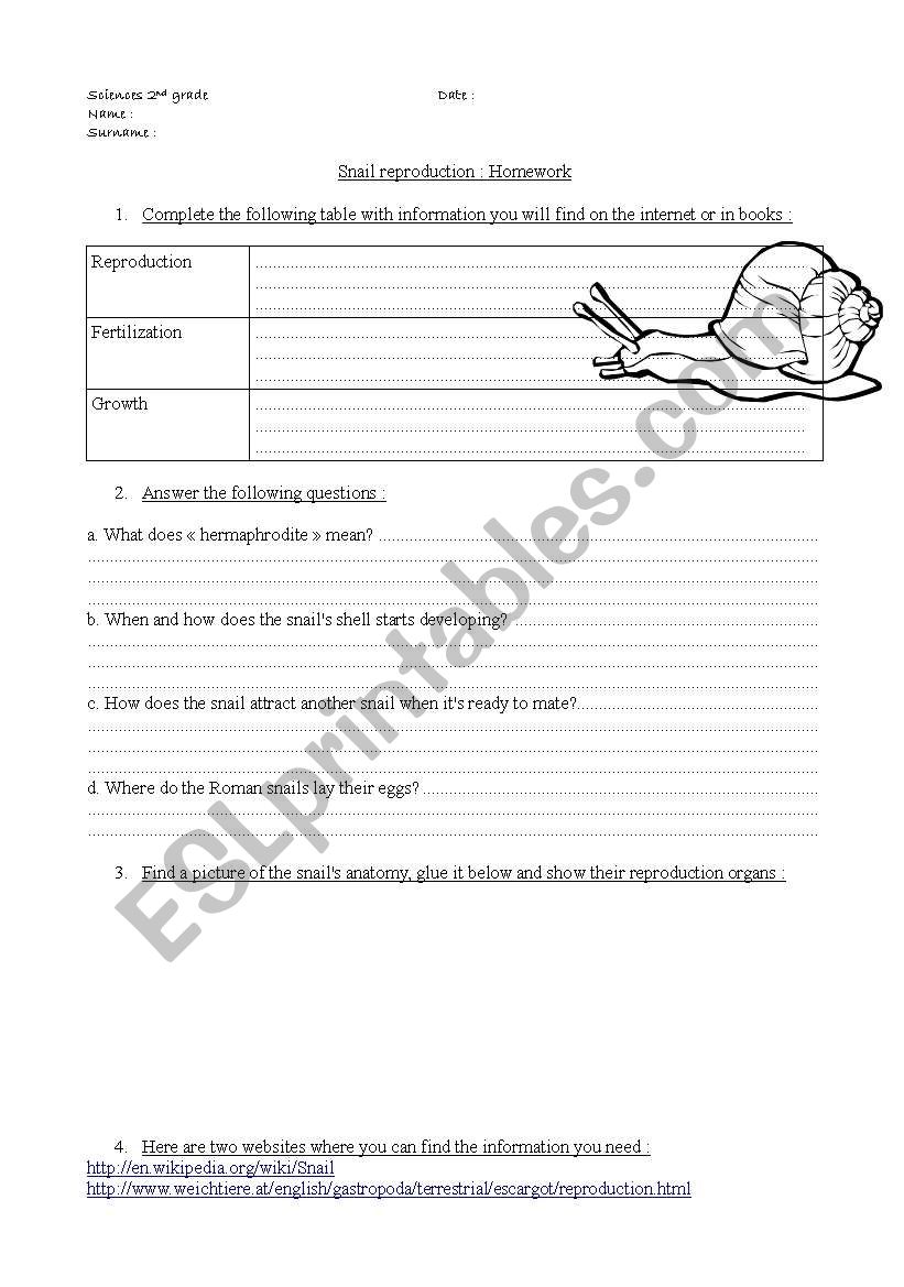 Science Homework - snail reproduction webquest