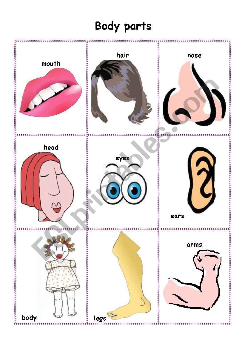 Body Parts Flashcards And Tictactoe Game Esl Worksheet By Nita551