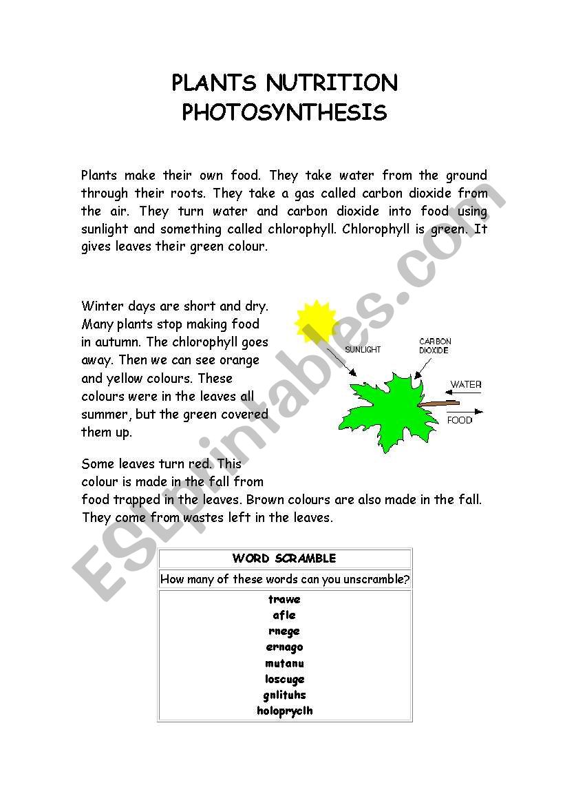 PLANTS NUTRITION - PHOTOSYNTHESIS