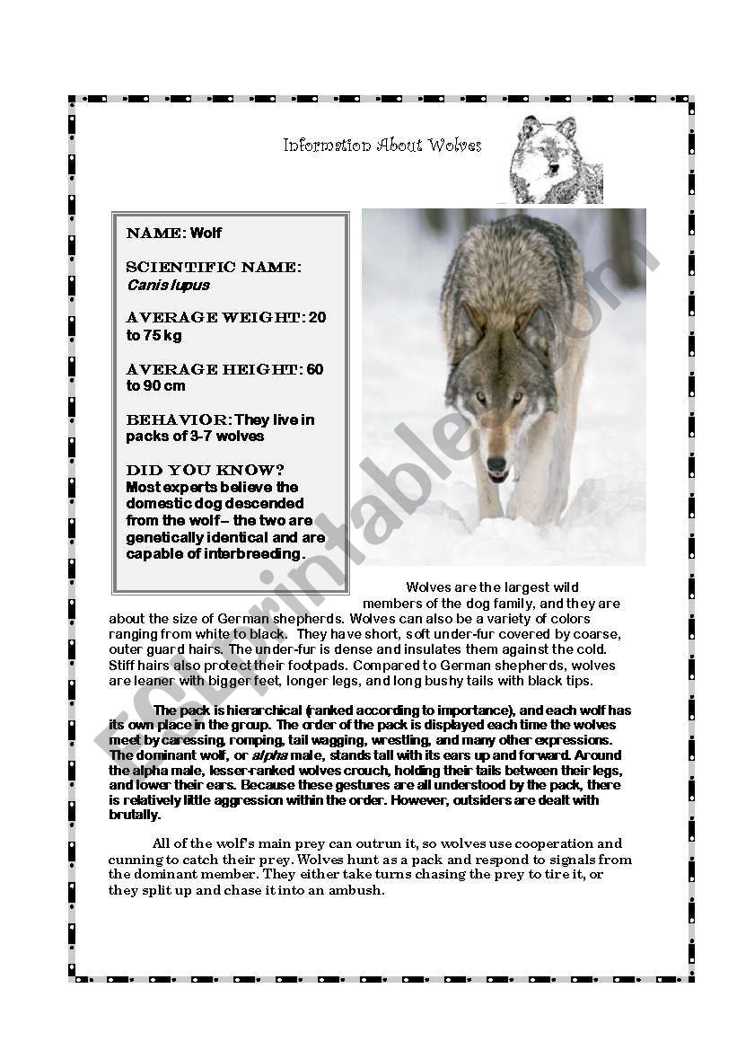Pre-Reading for Call of the Wild: Info. on Wolves