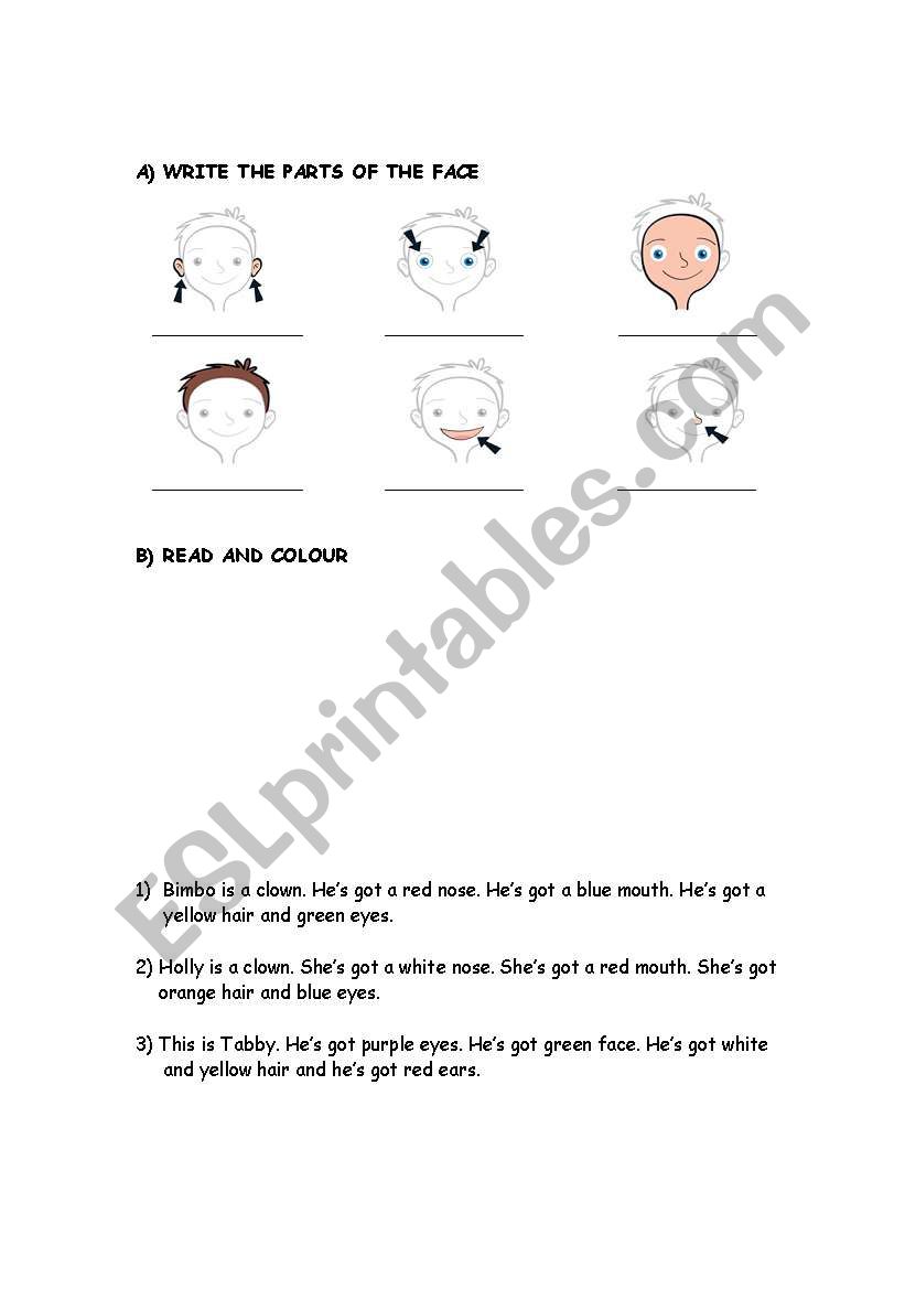 PARTS OF THE FACE worksheet