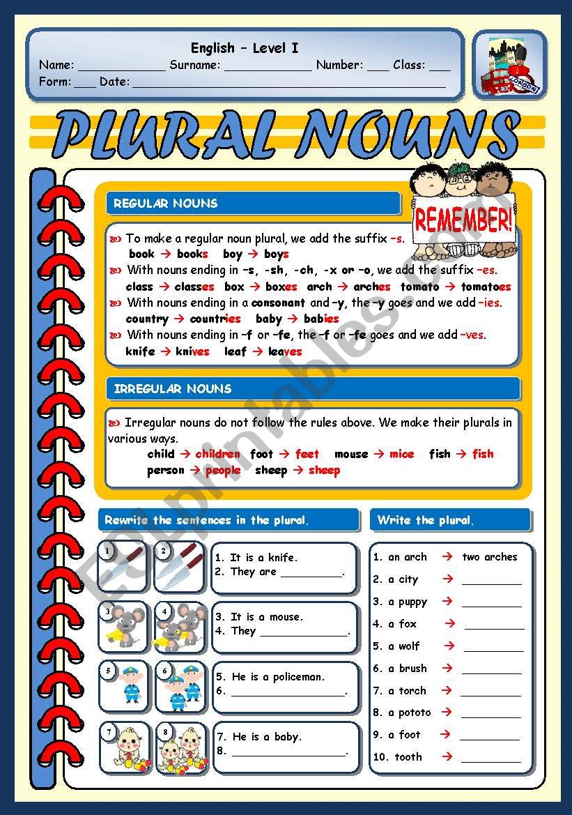 PLURAL NOUNS (regular and irregular)