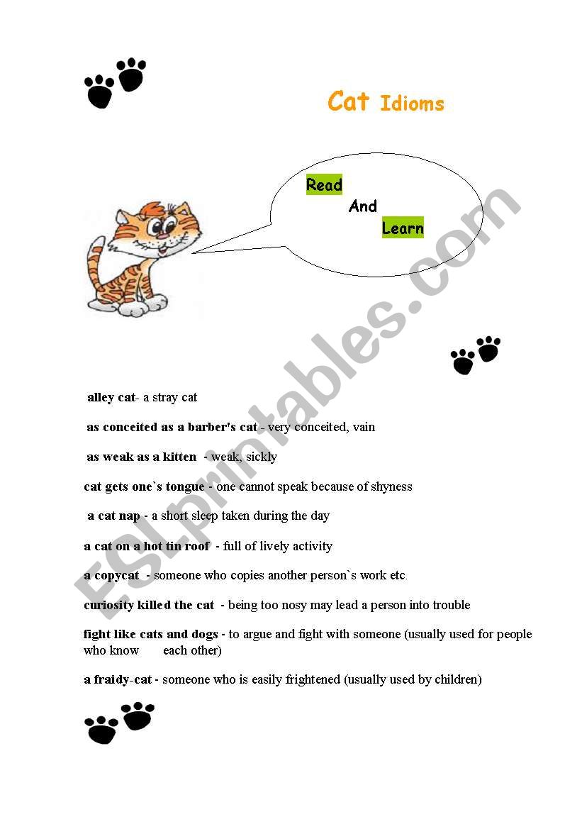 Idioms connected with animals(cat idioms)