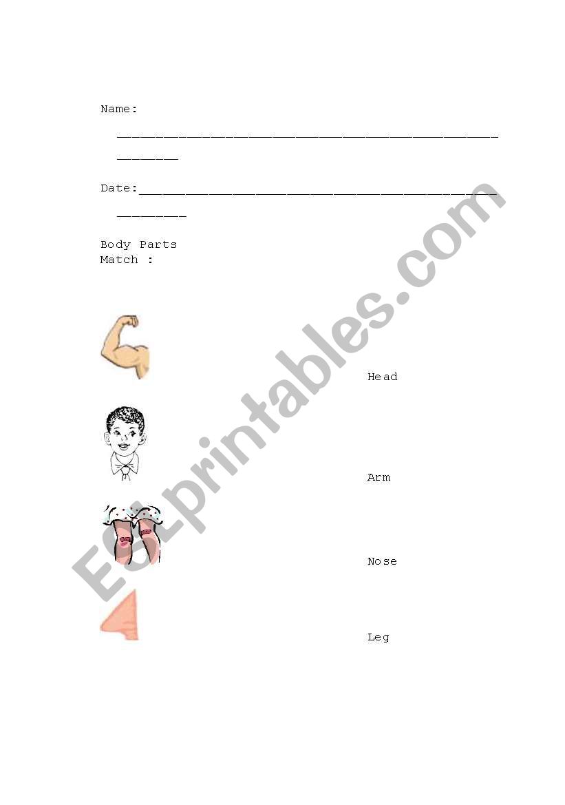  Body Part worksheet