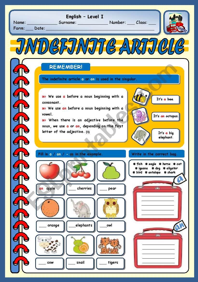 INDEFINITE ARTICLE worksheet