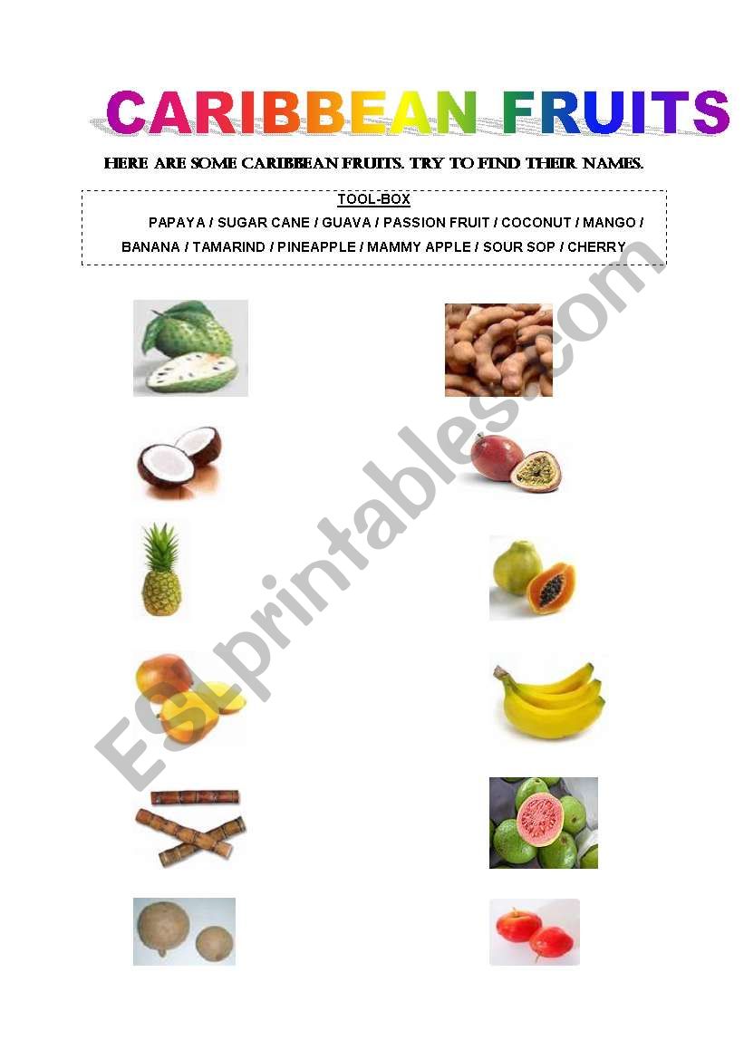 Caribbean fruits worksheet