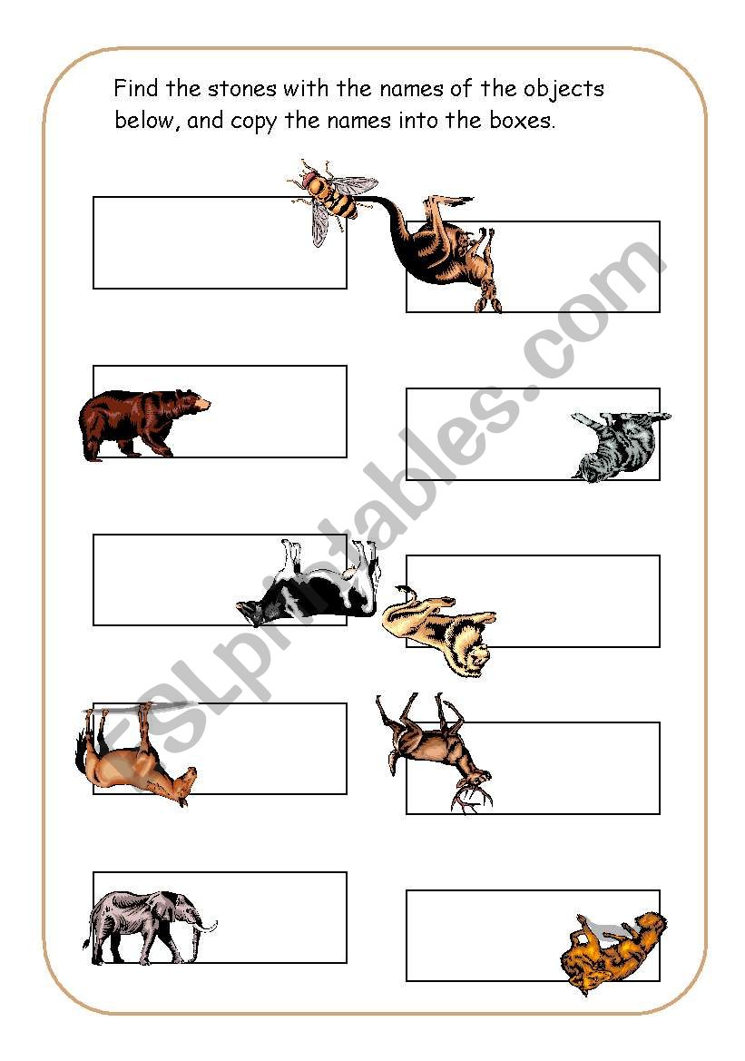 ANIMALS worksheet