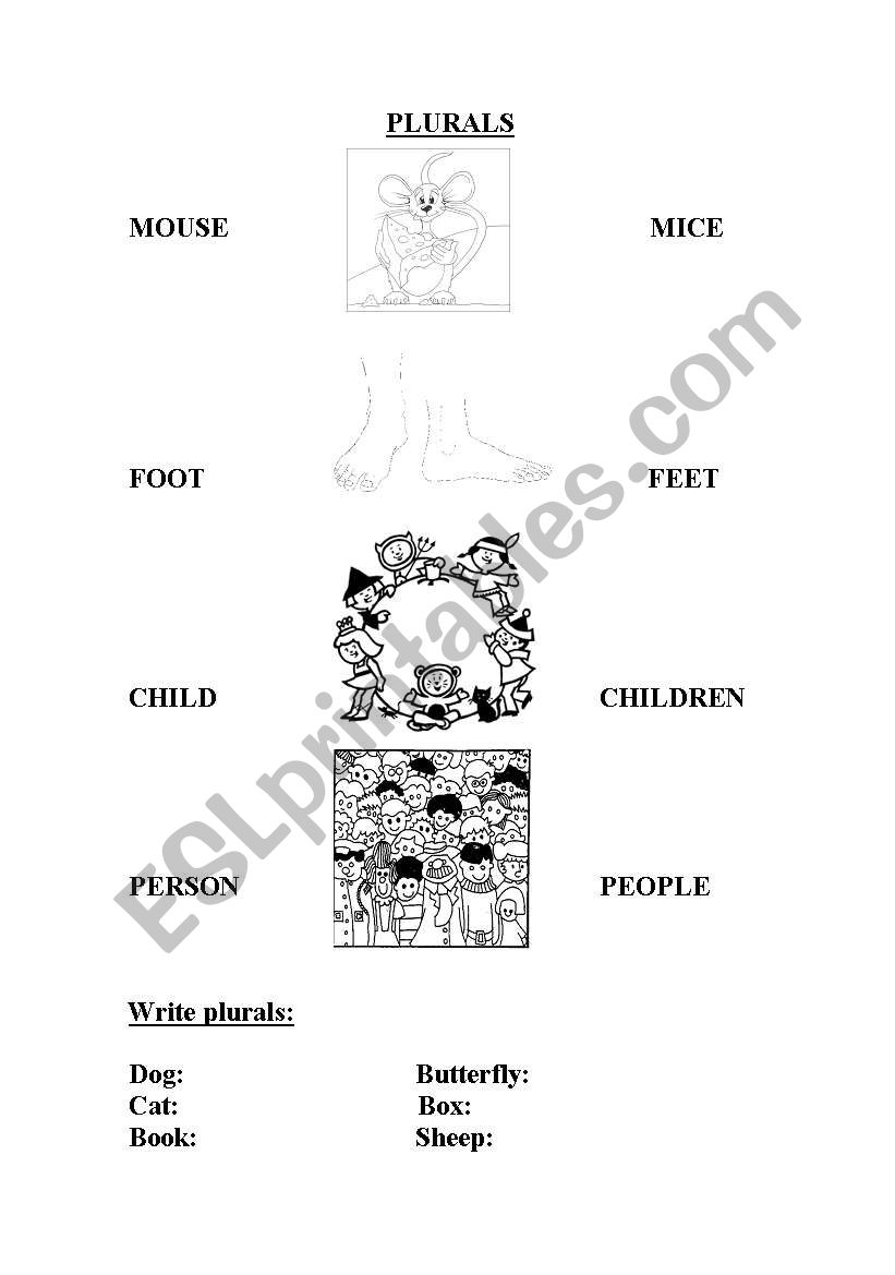 PLURALS worksheet