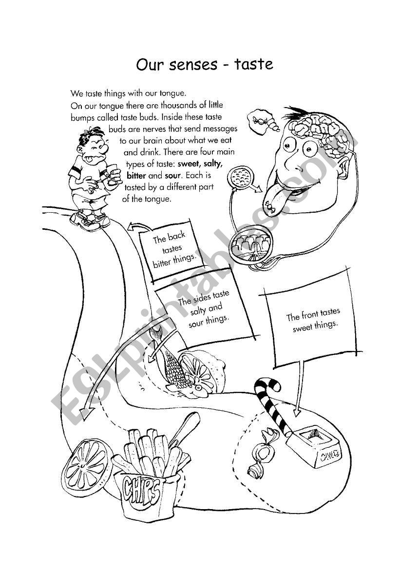 The Five Senses - Taste worksheet