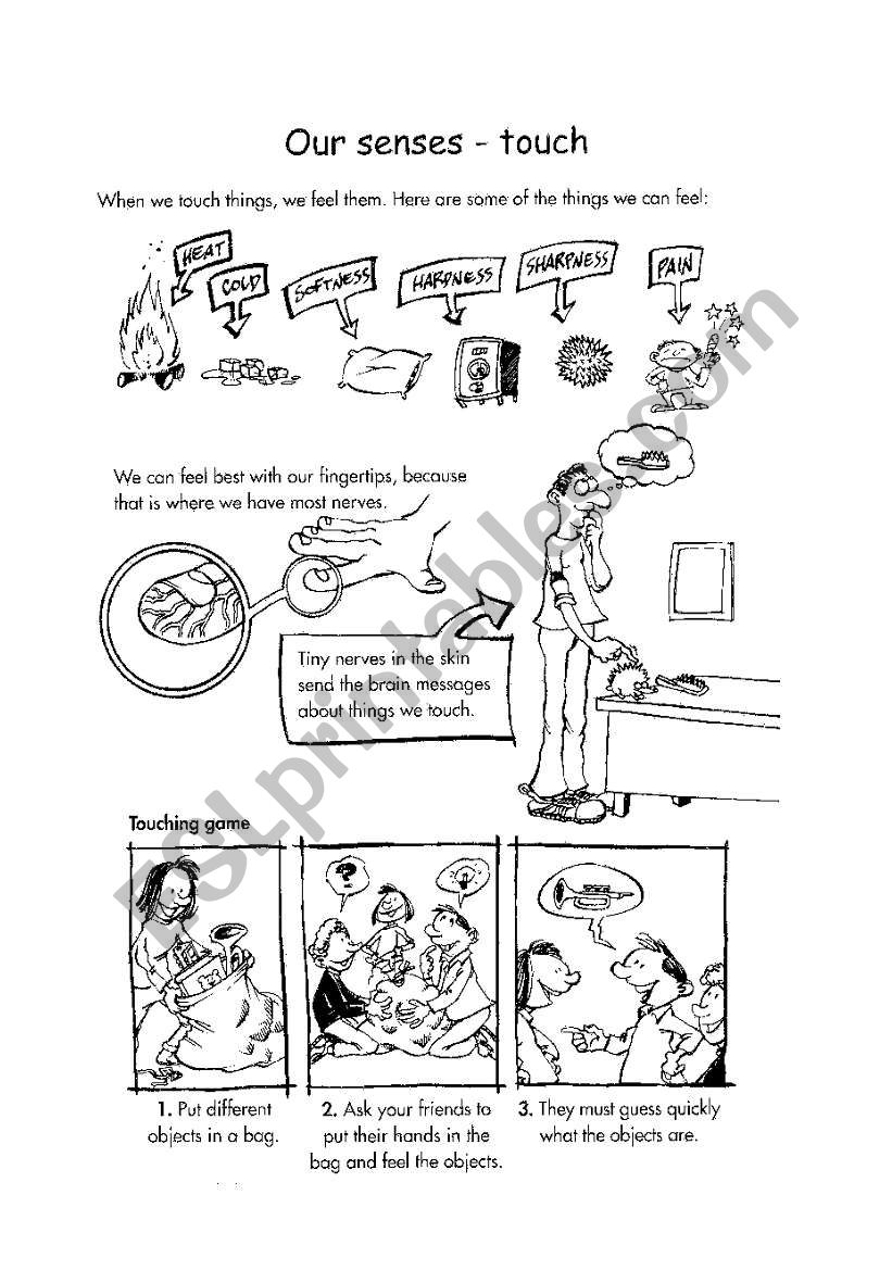 The Five Senses - touch worksheet