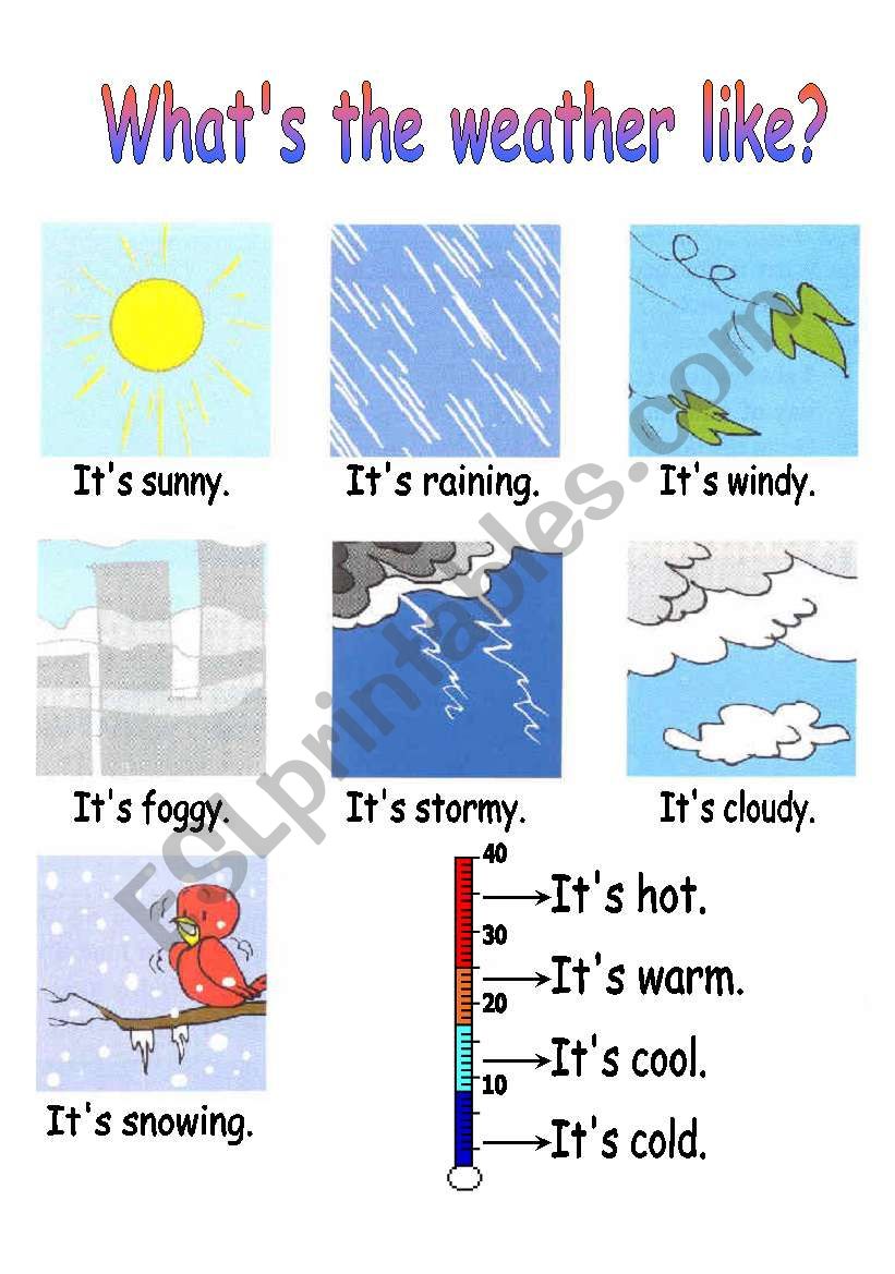 Weather worksheet