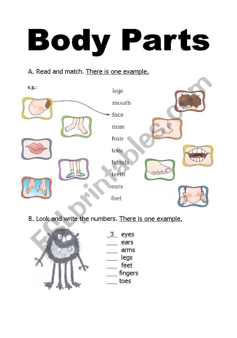 Body parts worksheet