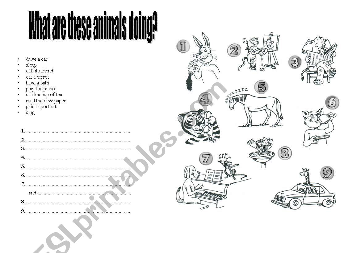 What are these animals doing worksheet