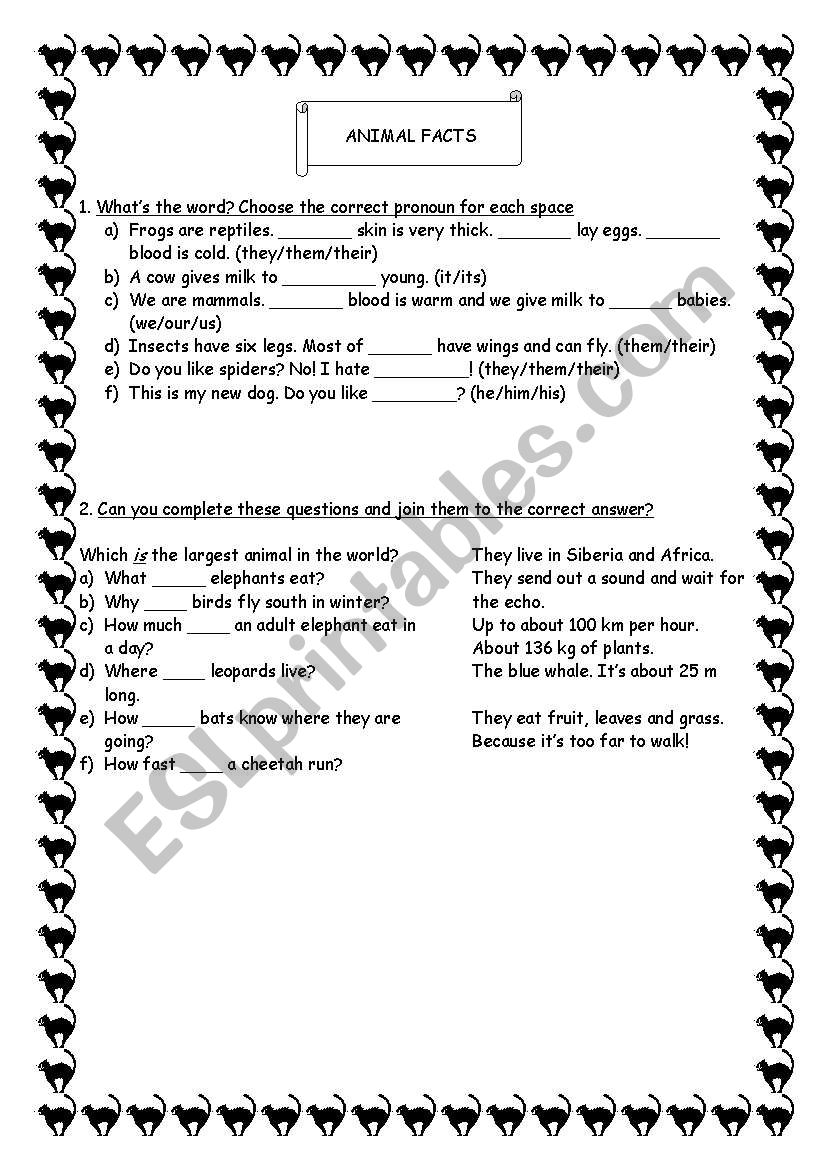 Animal Facts worksheet