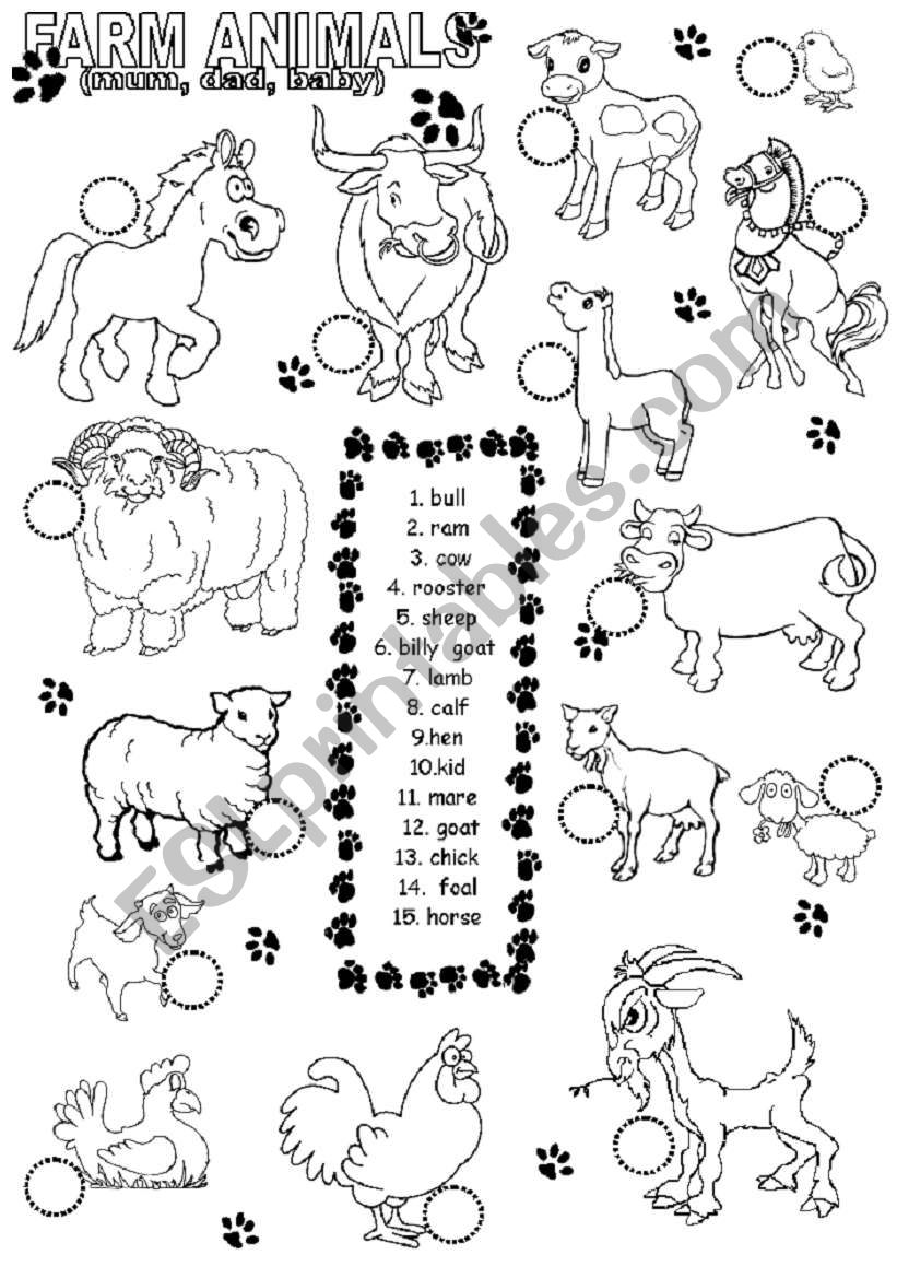 farm animals worksheet