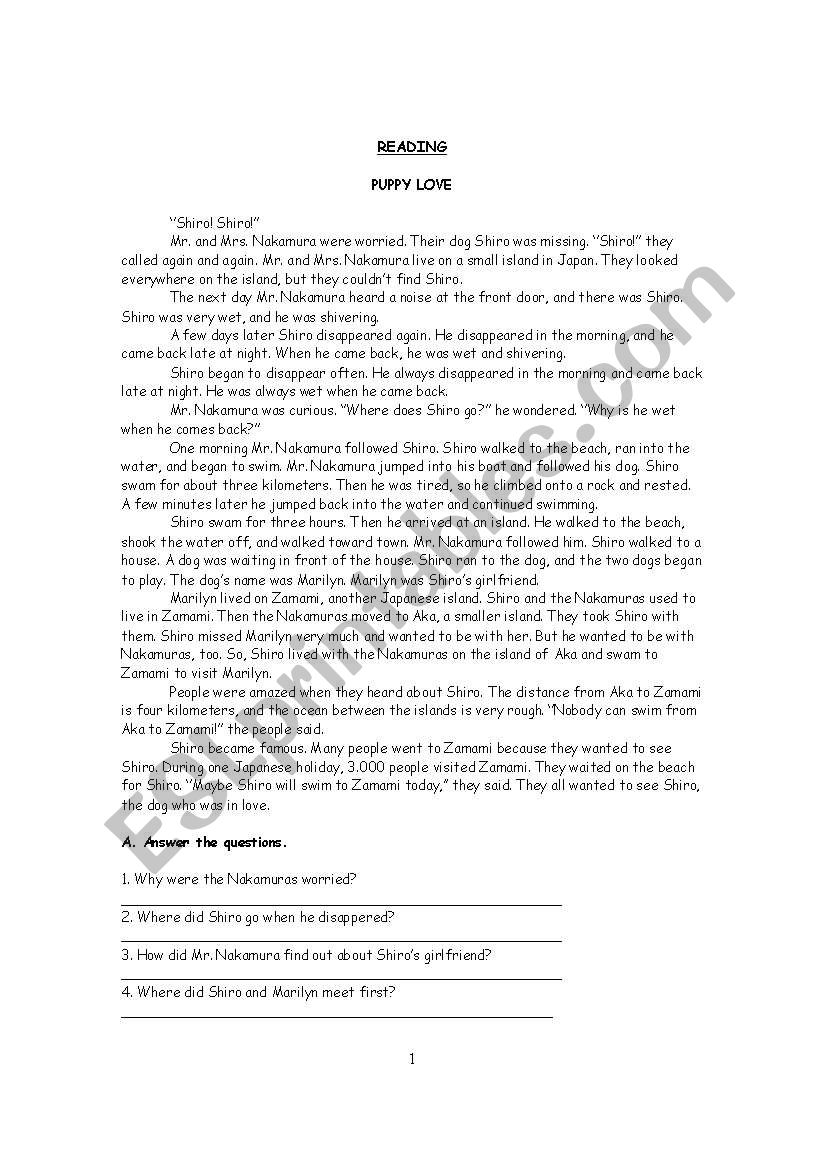 READING WORKSHEET worksheet