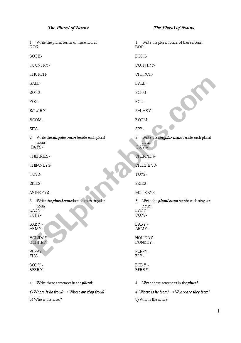 The Plural of Nouns worksheet