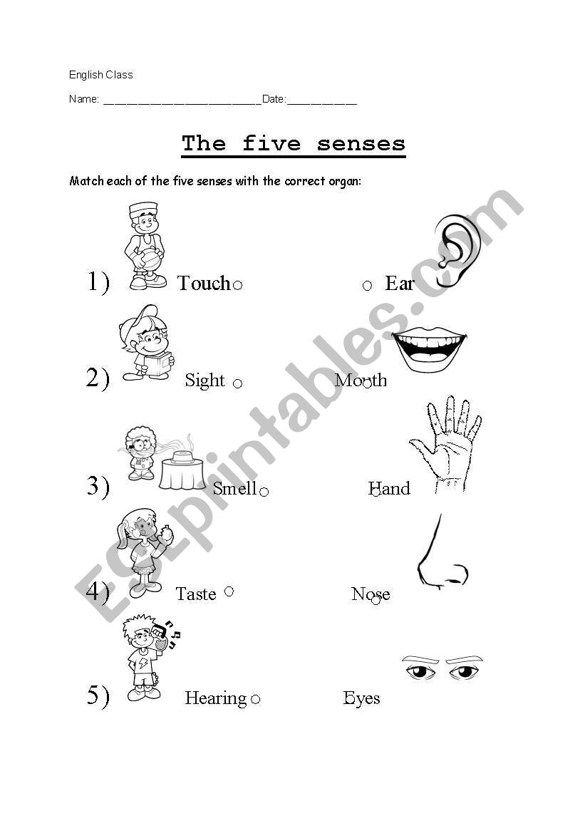 Five Senses worksheet