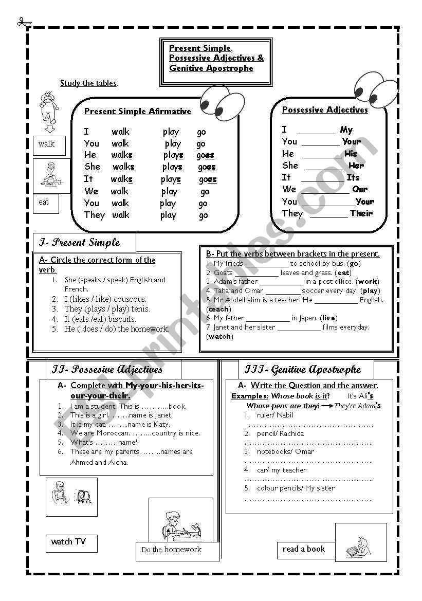 Present Simple, Possessive Adjectives & Genitive Apostrophe