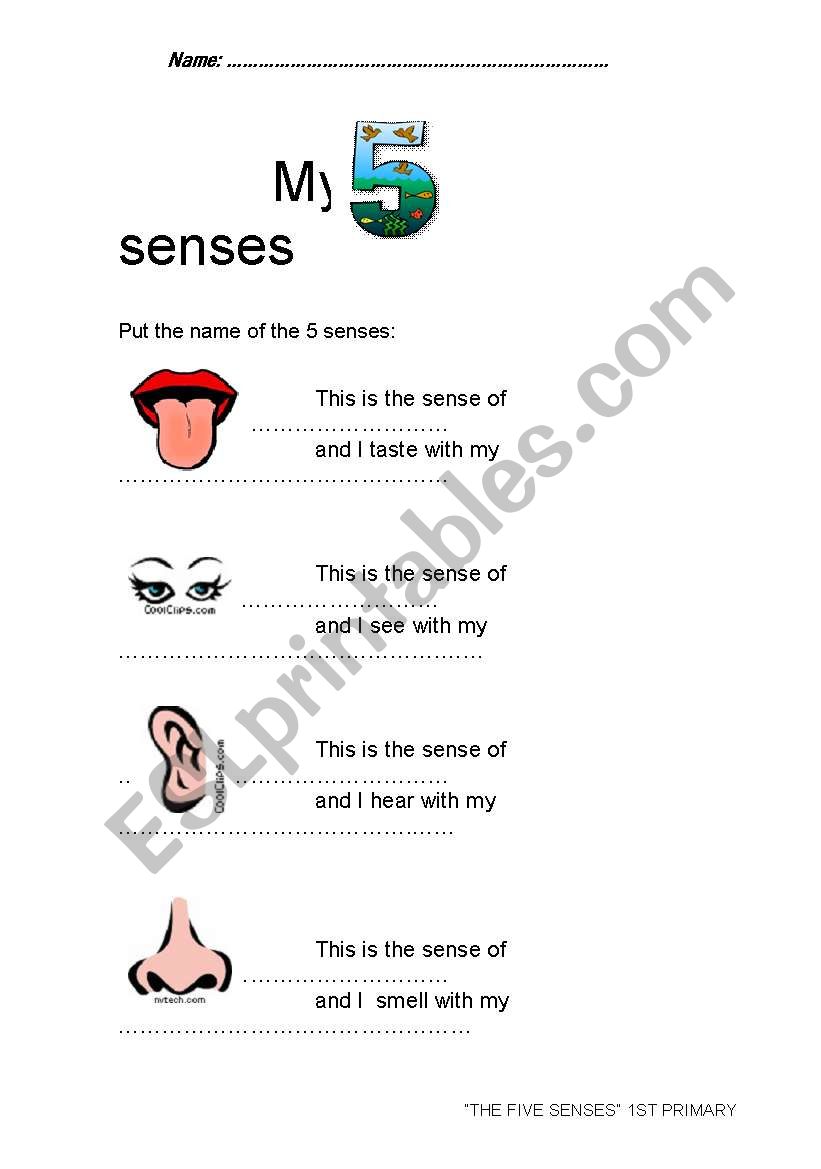 My senses 1st part worksheet