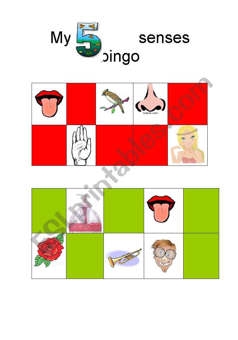 My 5 senses bingo worksheet