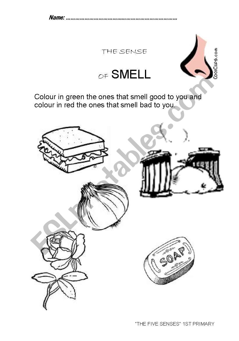 The smell sense worksheet