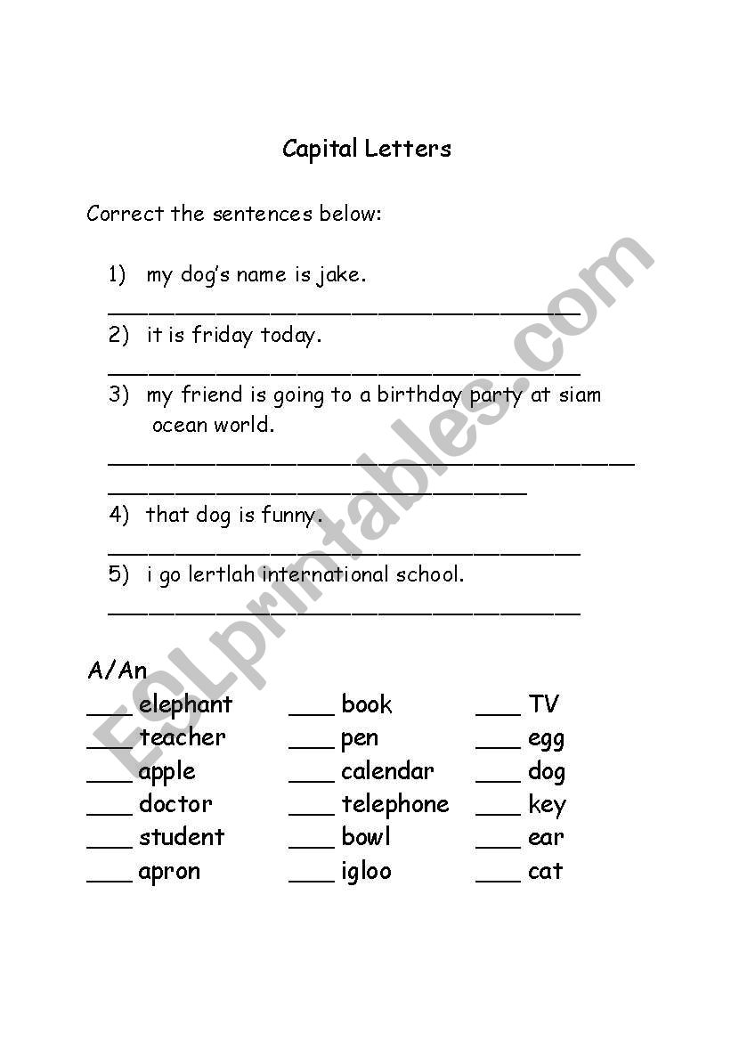 Grammar Practice worksheet