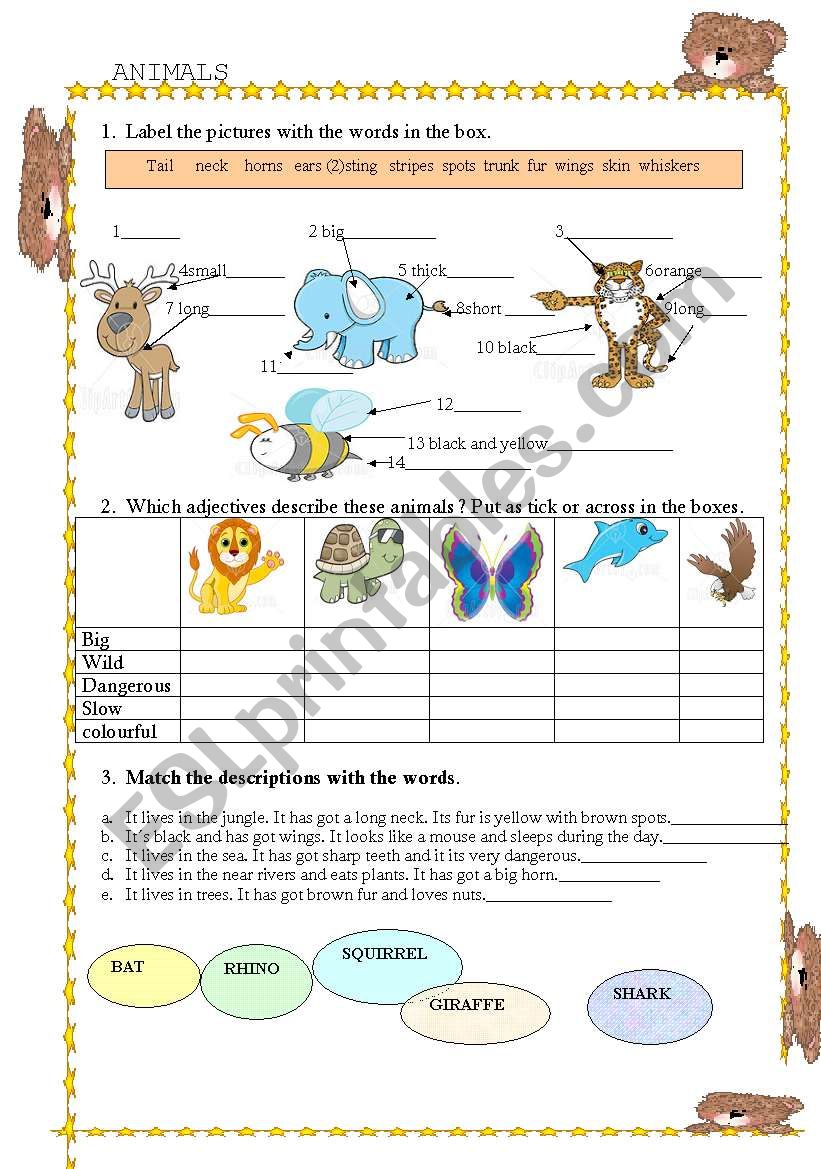 ANIMALS  worksheet