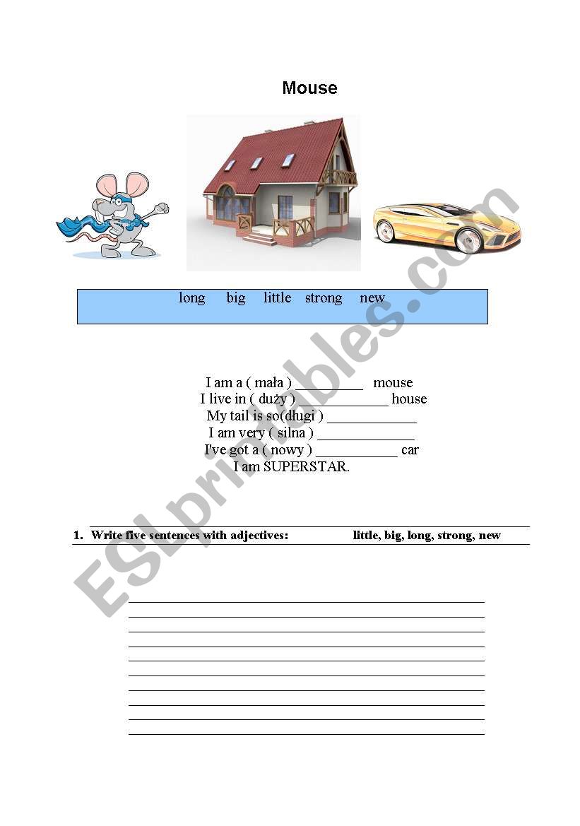 Mouse worksheet