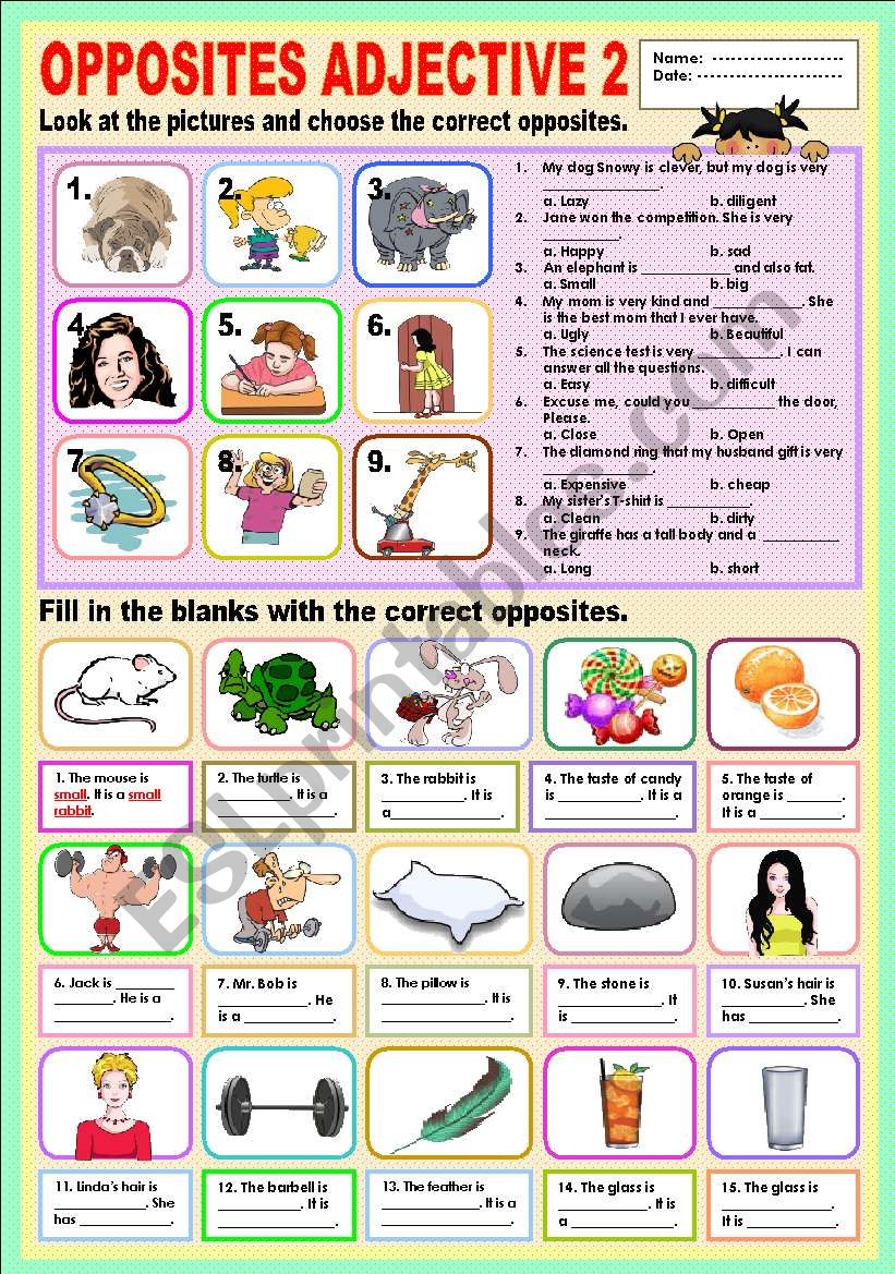 Opposites Adjectives 2 worksheet